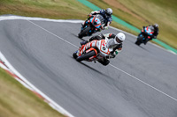 Advanced Group Orange Bikes